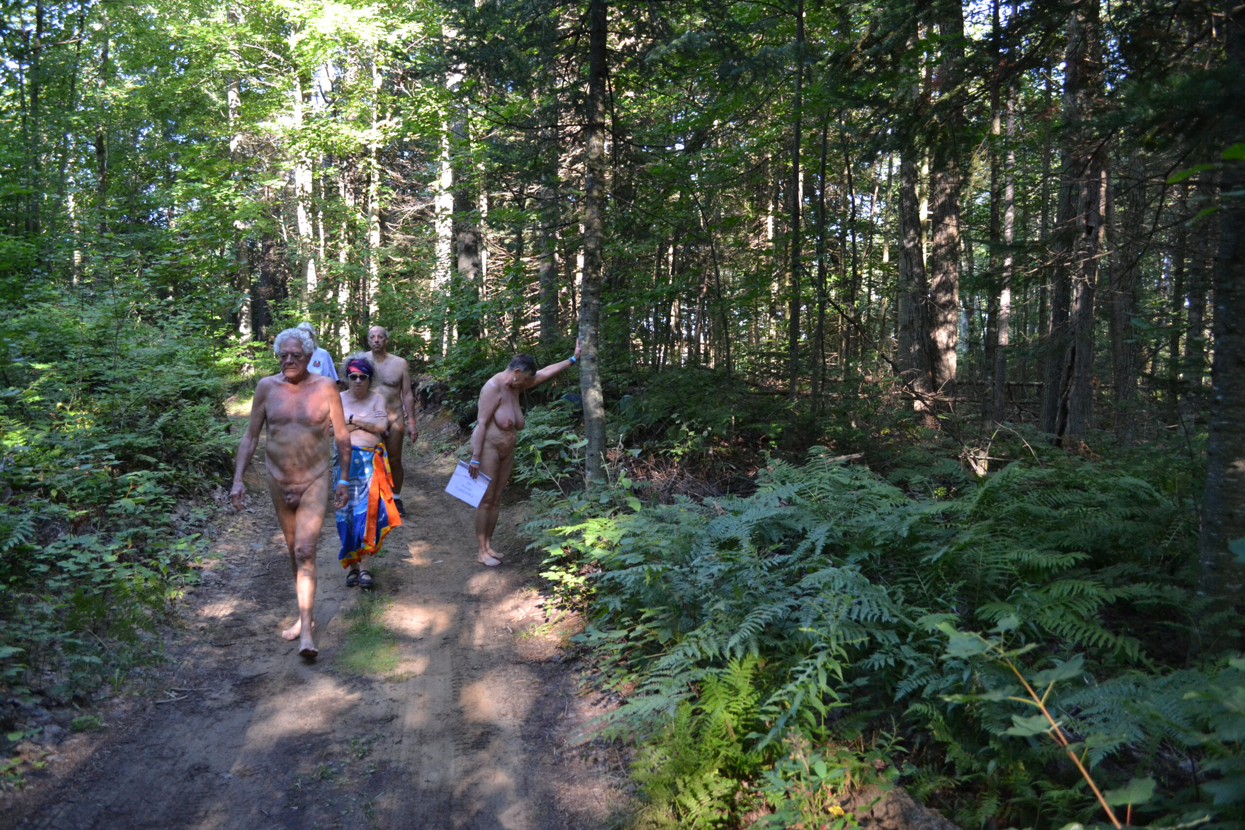 Un activité de marche en pleine conscience, une belle façon pour le naturiste débutant de s'initier à cette pratique